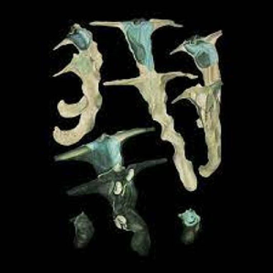 Rainforest Spiritual Enslavement - Jellyfish Reproduce Black Magic - Electronic - EP