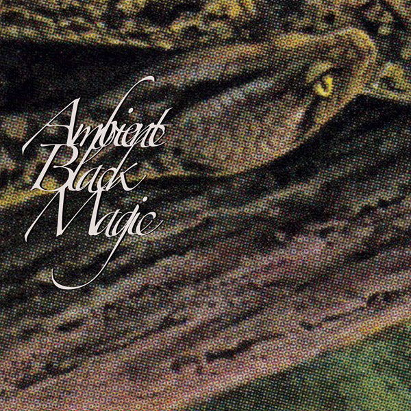 Rainforest Spiritual Enslavement - Ambient Black Magic (3Lp) - Electronic - 3LP