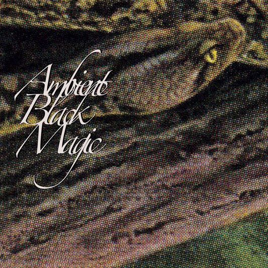 Rainforest Spiritual Enslavement - Ambient Black Magic (3Lp) - Electronic - 3LP