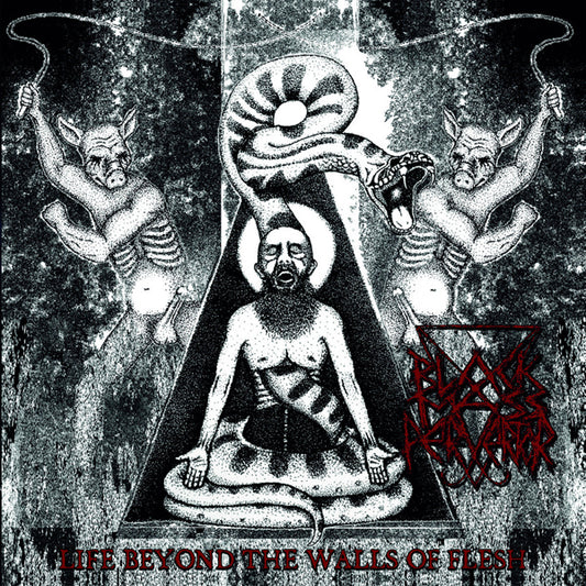Black Mass Pervertor - Life Beyond The Walls Of Flesh - Black Metal - MLP
