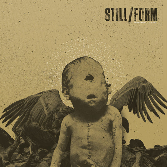 Still/Form - From The Rot Is A Gift - Indie - LP