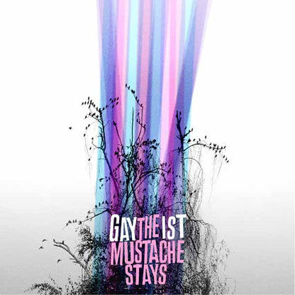 Gaytheist - The Mustache Stays - Punk - Music CD