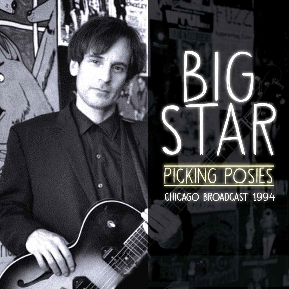 Big Star - Picking Posies - Pop - CD