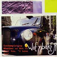 Wisenbaker - Contemplating Wheather Or Not - Hardcore - CD