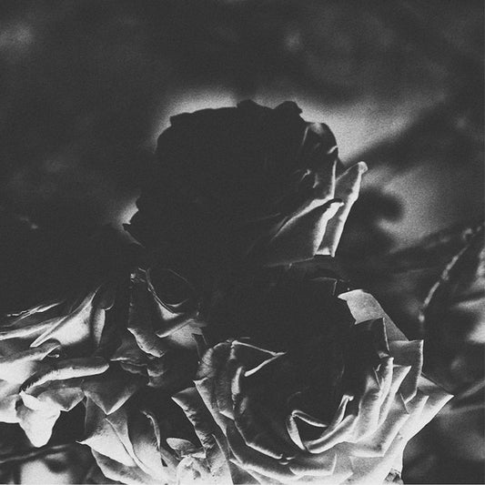 Hexis & Telos - Split (5 Inch Vinyl) - Black Metal - 7