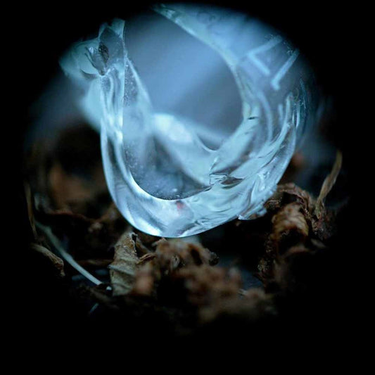 Ossicles - Mantelpiece - Prog Rock - CD