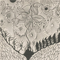 Jordsjo - Nattfiolen - Prog Rock - CD