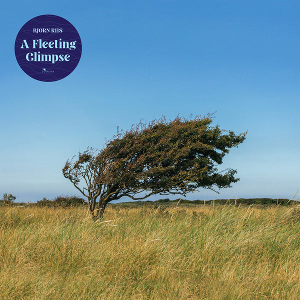 Bjorn Riis - A Fleeting Glimpse - Prog Rock - CD