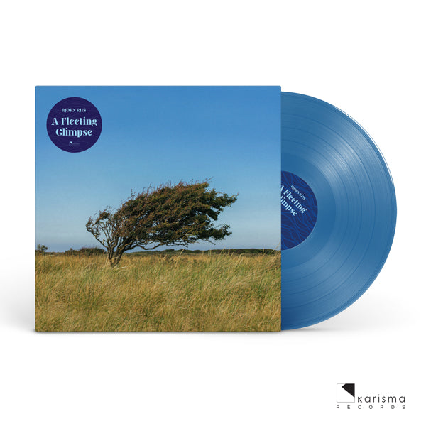 Bjorn Riis - A Fleeting Glimpse (Blue Vinyl) - Prog Rock - LP