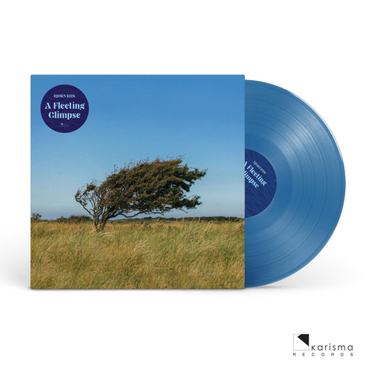 Bjorn Riis - A Fleeting Glimpse (Blue Vinyl) - Prog Rock - LP
