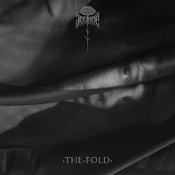 Antinoë - The Fold - Pop - CD