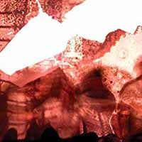 Ikaros - Speak Music - Rock - CD