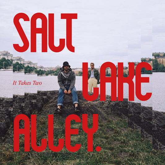 Salt Lake Alley - It Takes Two - Pop - LP