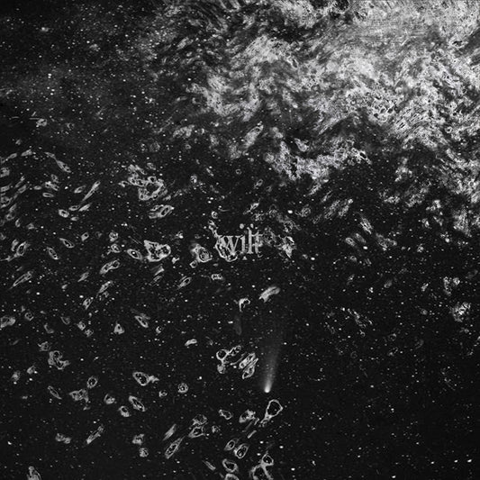 Wilt - Wilt - Black Metal - CD