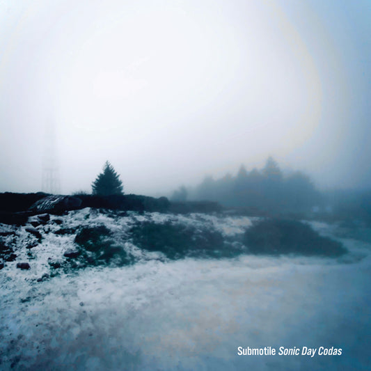 Submotile - Sonic Day Codas - Indie - LP