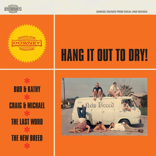 Various Artists - Hang It Out To Dry - Rock/Pop - 7