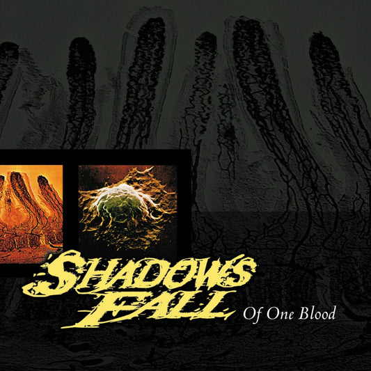 Shadows Fall - Of One Blood (Blood Red Vinyl) - Metal - LP
