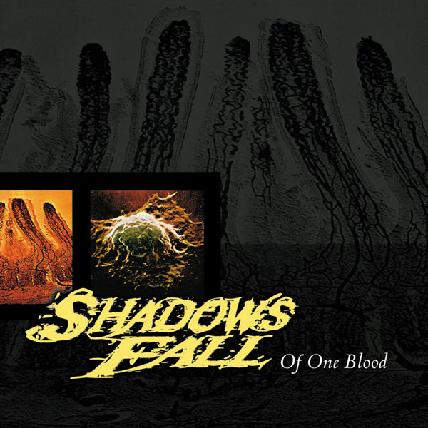 Shadows Fall - Of One Blood (Yellow With Black Marble Vinyl) - Metal - LP