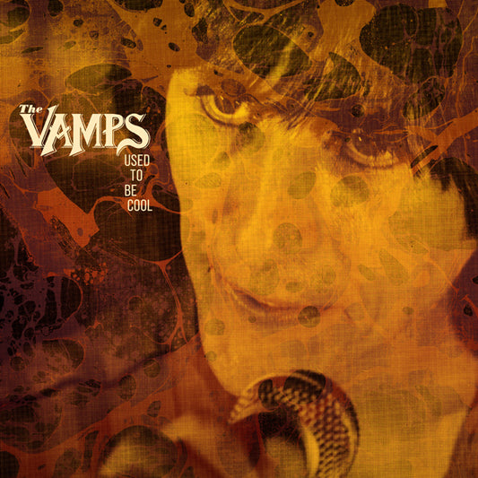 Vamps, The - Used To Be Cool (Blue Vinyl Version) - Punk - LP