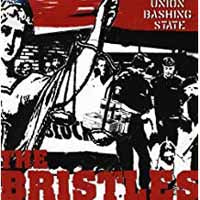 Bristles, The - Bashing State - Punk - CD