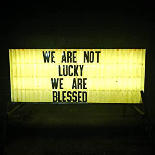 Ben Trickey - We Are Not Lucky We Are Blessed - Country/Folk - LP