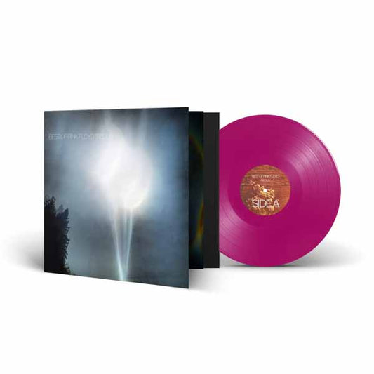 Various Artists - Best Of Pink Floyd (Redux) (Solid Purple Vinyl) - Prog Rock - LP