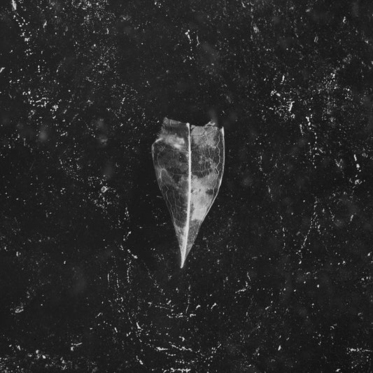 Bees Made Honey In The Vein Tree - Aion (2Lp White Vinyl) - Doom Metal - DLP