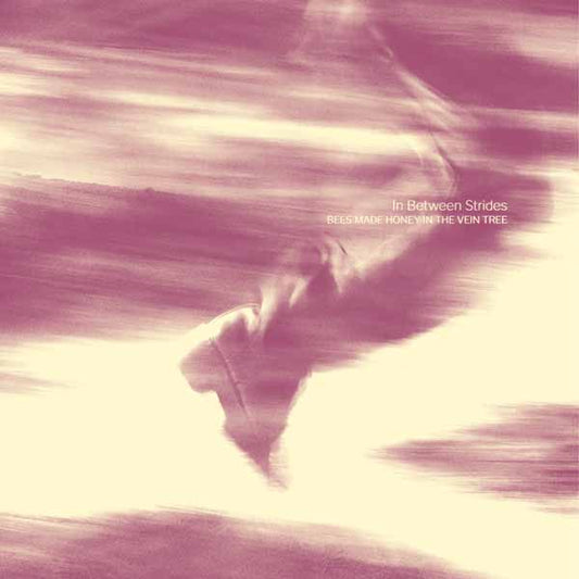 Church Of Misery - In Between Strides - Metal - Music CD