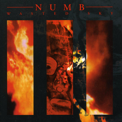 Numb - Wasted Sky (Limited Edition Vinyl) - Electronic - LP