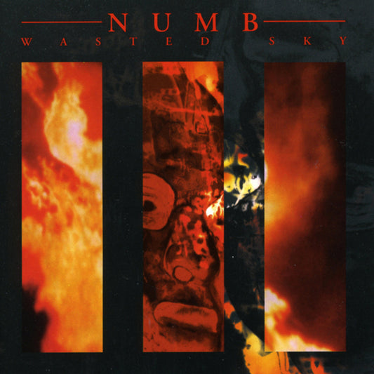 Numb - Wasted Sky (Limited Edition Vinyl) - Electronic - LP