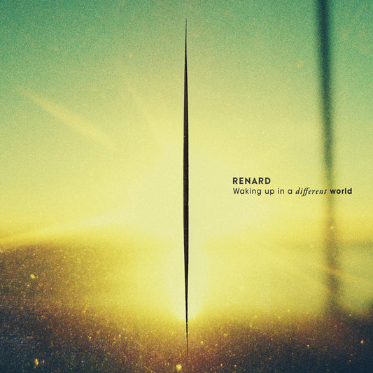 Renard - Waking Up In A Different World - Electronic - LP