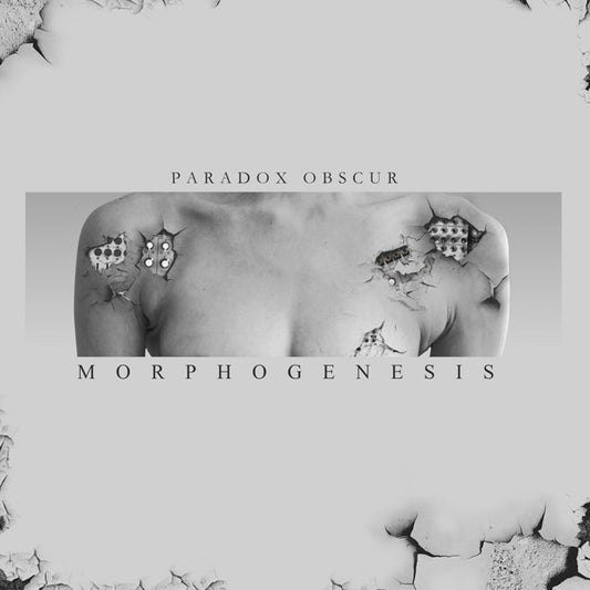 Paradox Obscur - Morphogenesis (Limited Edition Lp) - Electronic - LP