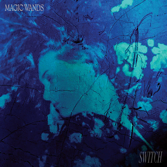Magic Wands - Switch - Electronic - LP