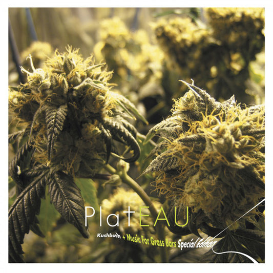 Plateau - Kushbush + Music For Grass Bars (Special Edition) - Electronic - DCD