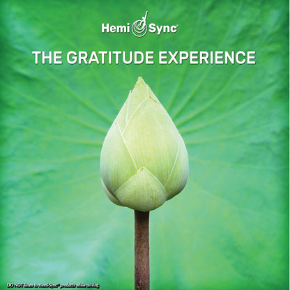 Patty Ray Avalon & Hemi-Sync - The Gratitude Experience - Rock/Pop - CD