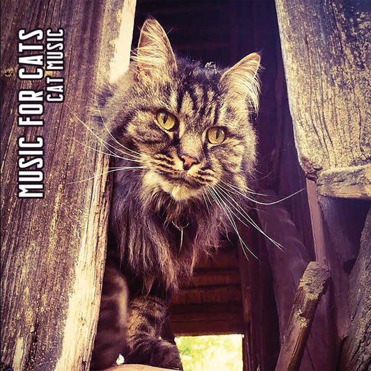 Music For Cats - Cat Music (Ltd.Digi) - Rock/Pop - CDD