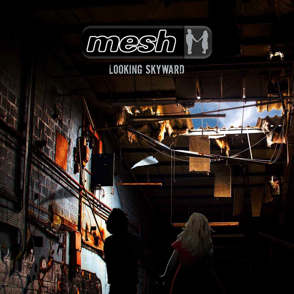 Mesh - Looking Skyward - Pop - CD
