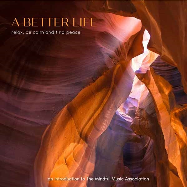 Various Artists - A Better Life: An Introduction To The Mindful Music Association (2Cd) - Rock/Pop - DCD