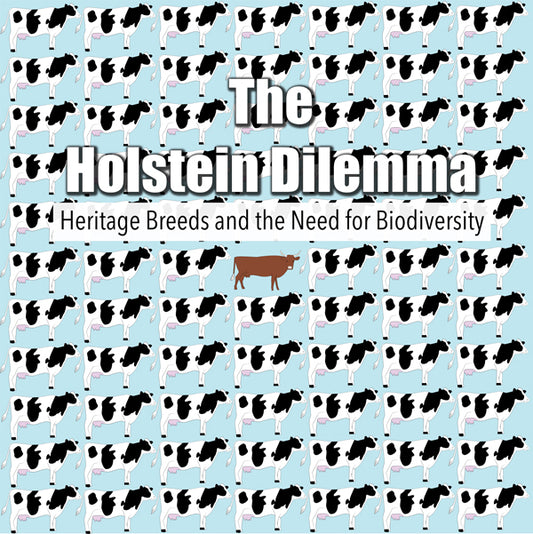 Feature Film - The Holstein Dilemma - Film/TV/Character - DVD