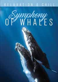 Various Artists - Relax: Symphony Of Whales - Rock/Pop - DVD
