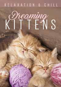 Various Artists - Relax: Dreaming Kittens - Rock/Pop - DVD