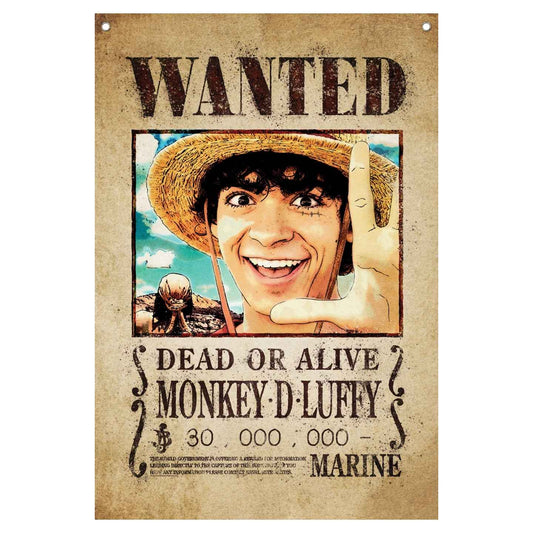 One Piece Wall Banner
