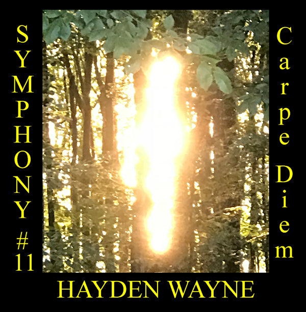 Hayden Wayne - Symphony #11: Carpe Diem - Classical - CD