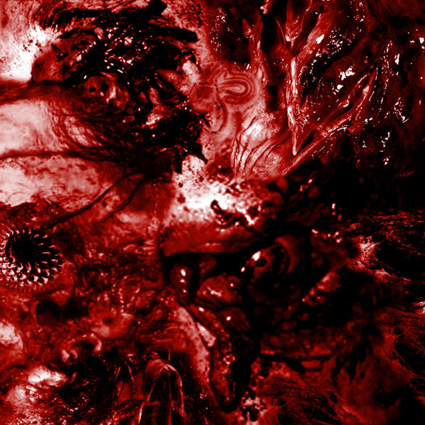 Excrescence - Inescapable Anatomical Deterioration - Death Metal - CD