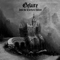 Gelure - Into The Chesfern Wood (Ltd.Digi) - Electronic - CDD