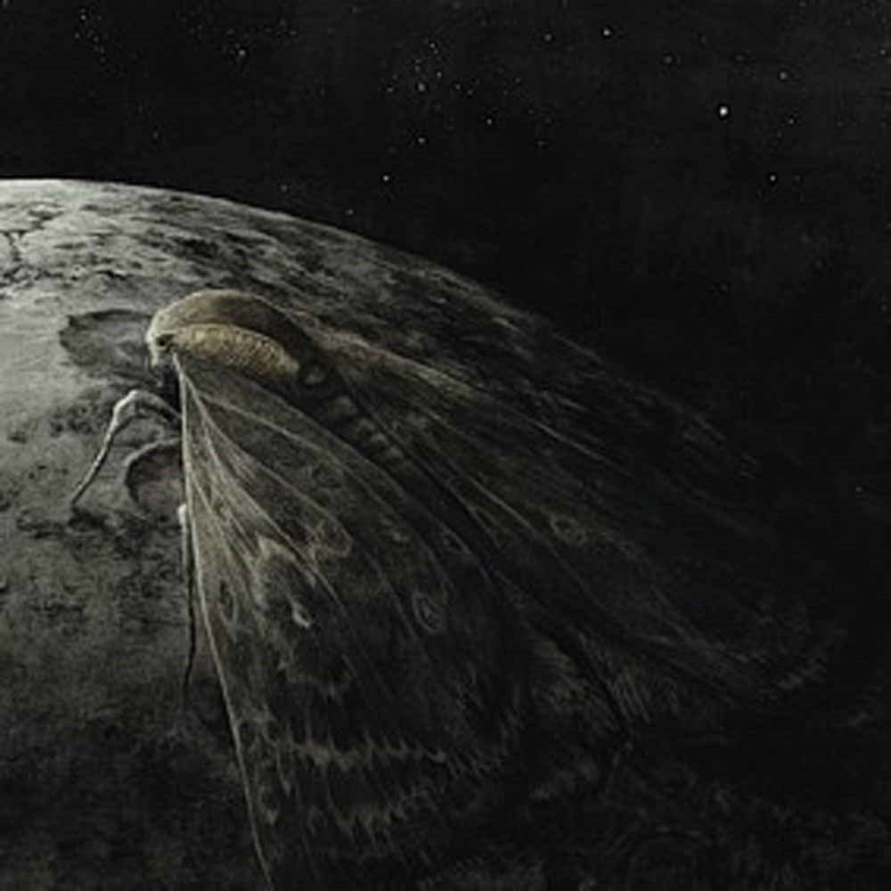 Augrimmer - Moth And The Moon - Black Metal - CD