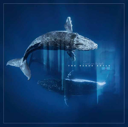 Naked Souls, The - Reverb From The Depths - Punk - LP
