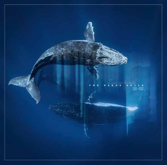Naked Souls, The - Reverb From The Depths - Punk - LP