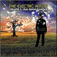 Various Artists - The Electric Asylum Vol 5 - Rock - CD