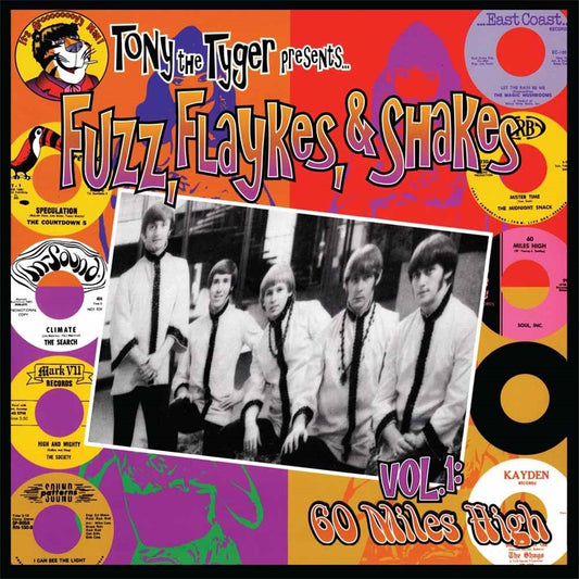 Various Artists - Fuzz, Flaykes And Shakes - Rock - LP